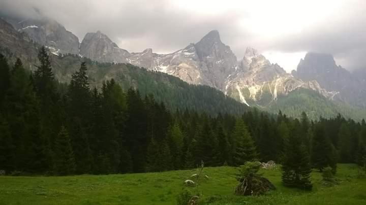 Hotel Garni Suisse San Martino Di Castrozza Luaran gambar