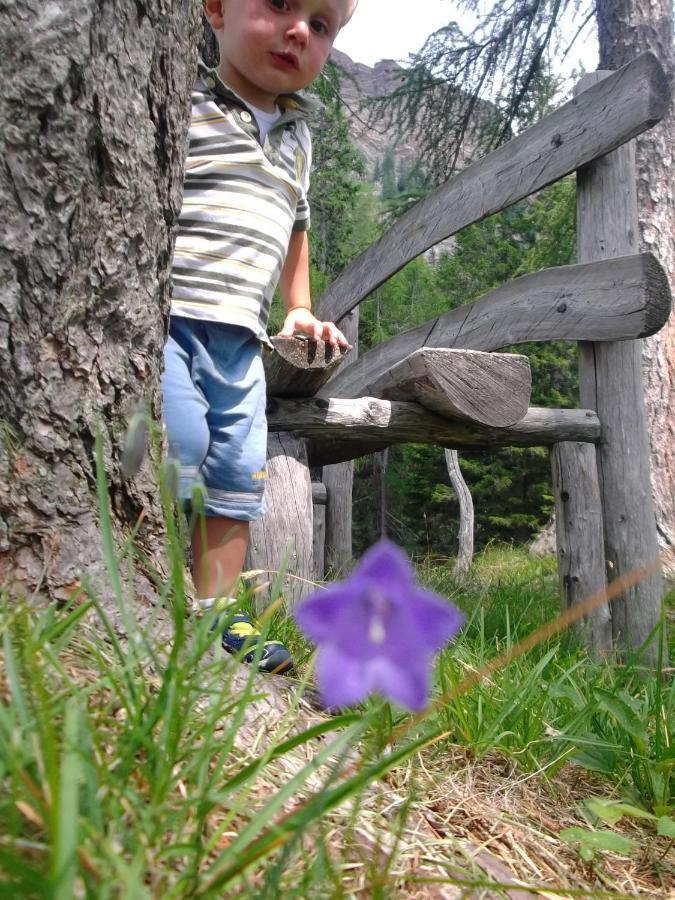 Hotel Garni Suisse San Martino Di Castrozza Luaran gambar