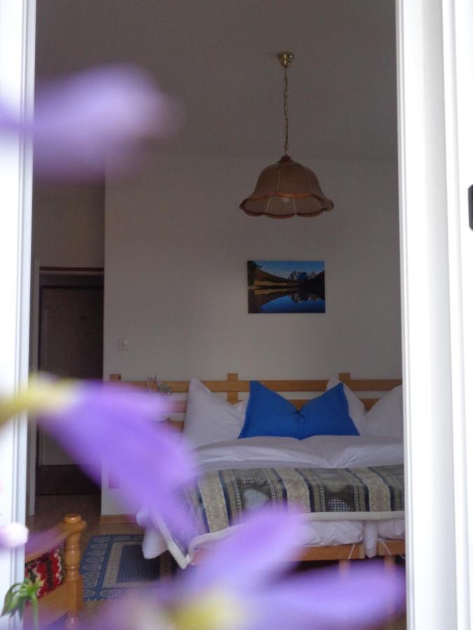 Hotel Garni Suisse San Martino Di Castrozza Luaran gambar