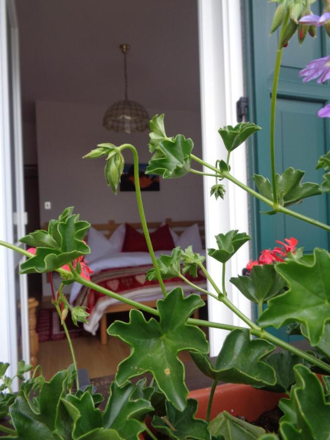 Hotel Garni Suisse San Martino Di Castrozza Luaran gambar